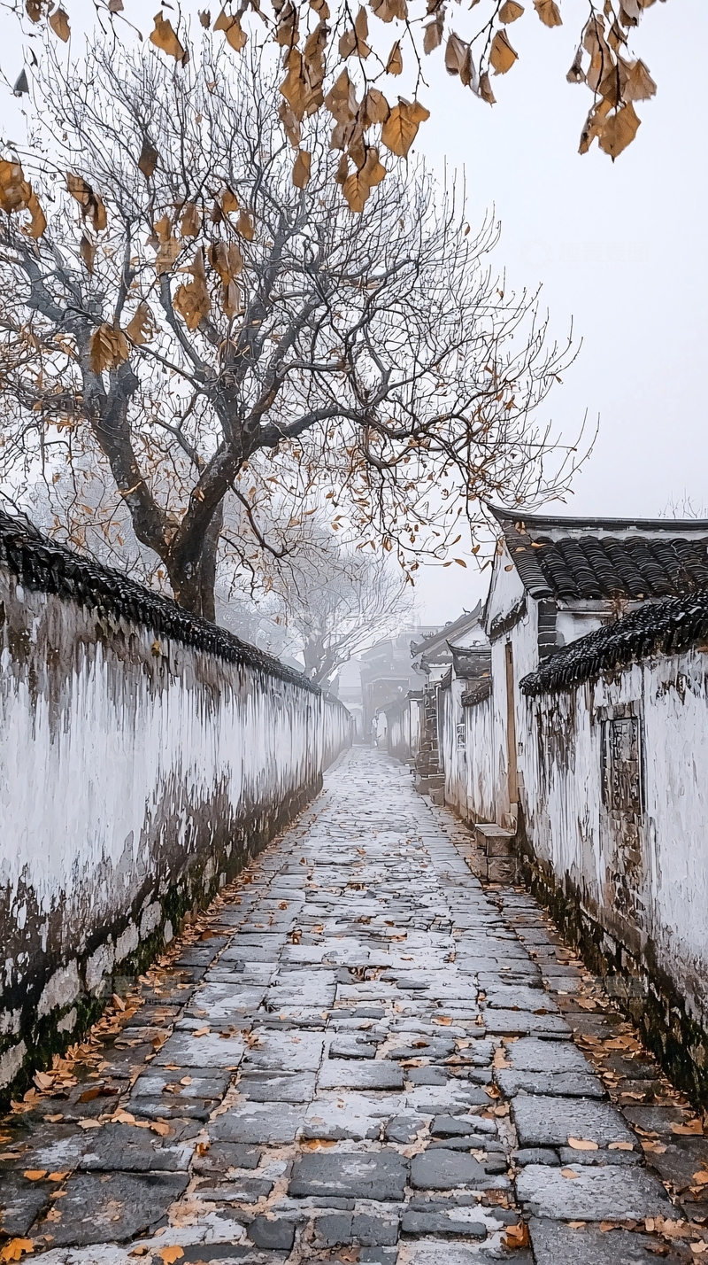 高清大图下载【趣麦麦图】雾中江南古镇小巷