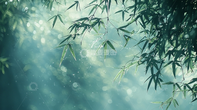 高清大图下载【趣麦麦图】竹林光影朦胧意境