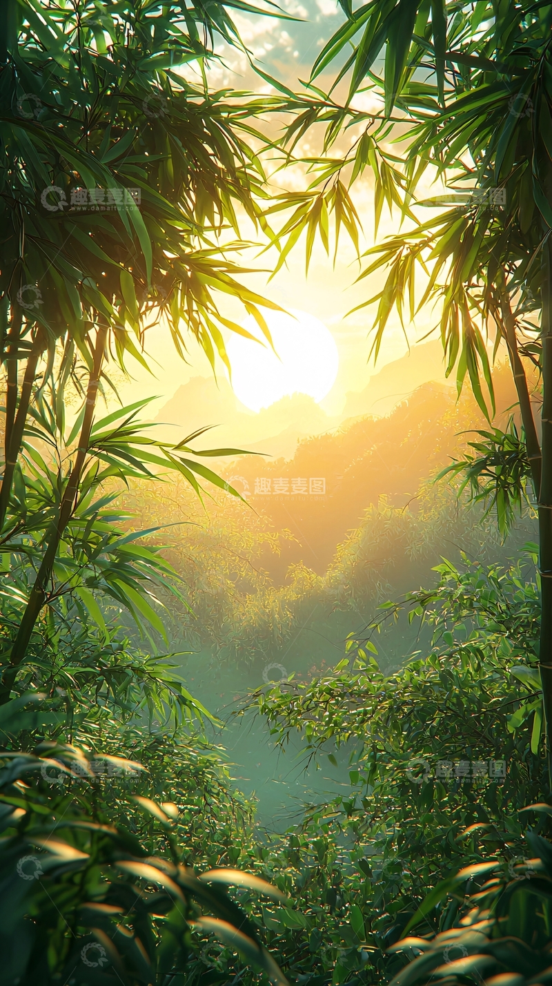 高清大图下载【趣麦麦图】竹林日出