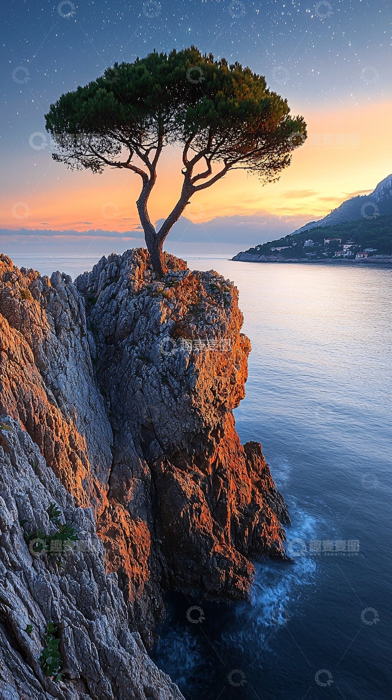 高清大图下载【趣麦麦图】孤树海岸线日落