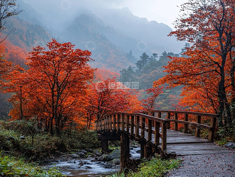 高清大图下载【趣麦麦图】秋日红叶小桥流水人家