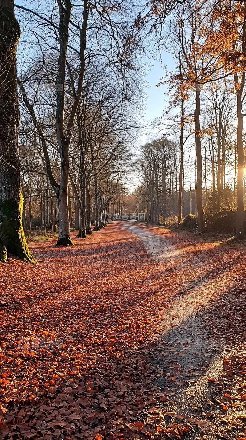 高清大图下载【趣麦麦图】秋日落叶铺满小路