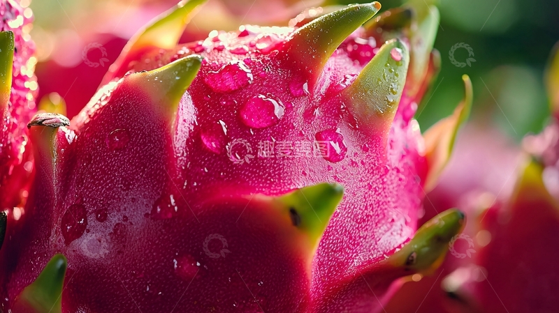 高清大图下载【趣麦麦图】新鲜红肉火龙果特写