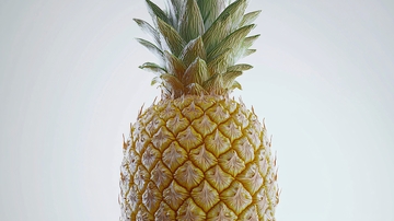 清新黄色的菠萝特写