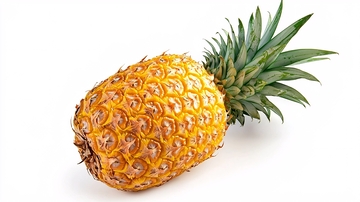 新鲜菠萝特写