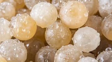 饱满晶莹的珍珠状物体