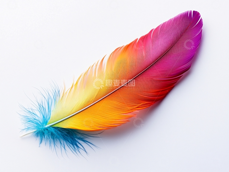 高清大图下载【趣麦麦图】彩色羽毛特写