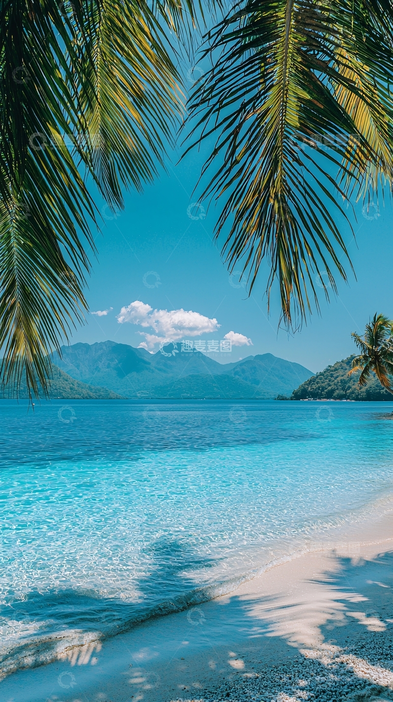 高清大图下载【趣麦麦图】热带海滩椰树