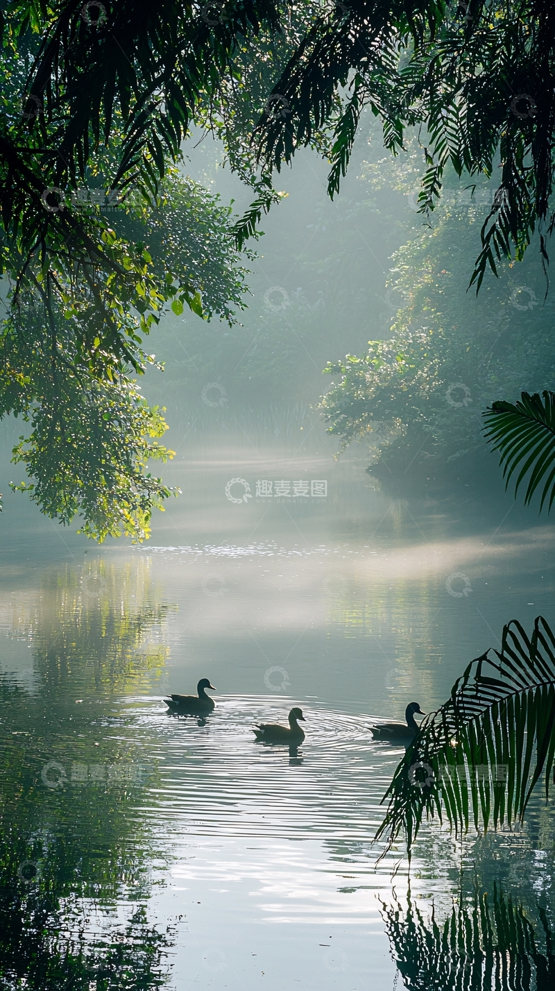 高清大图下载【趣麦麦图】清晨雾气缭绕的湖面