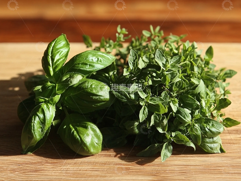 高清大图下载【趣麦麦图】新鲜罗勒和百里香