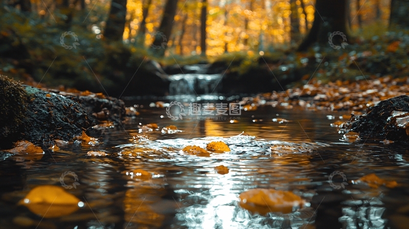 高清大图下载【趣麦麦图】秋天森林小溪落叶流水