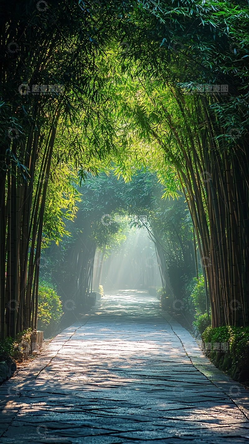 高清大图下载【趣麦麦图】竹林小径阳光洒落
