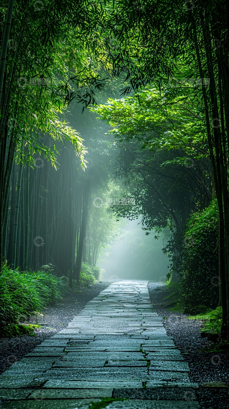 高清大图下载【趣麦麦图】竹林小路