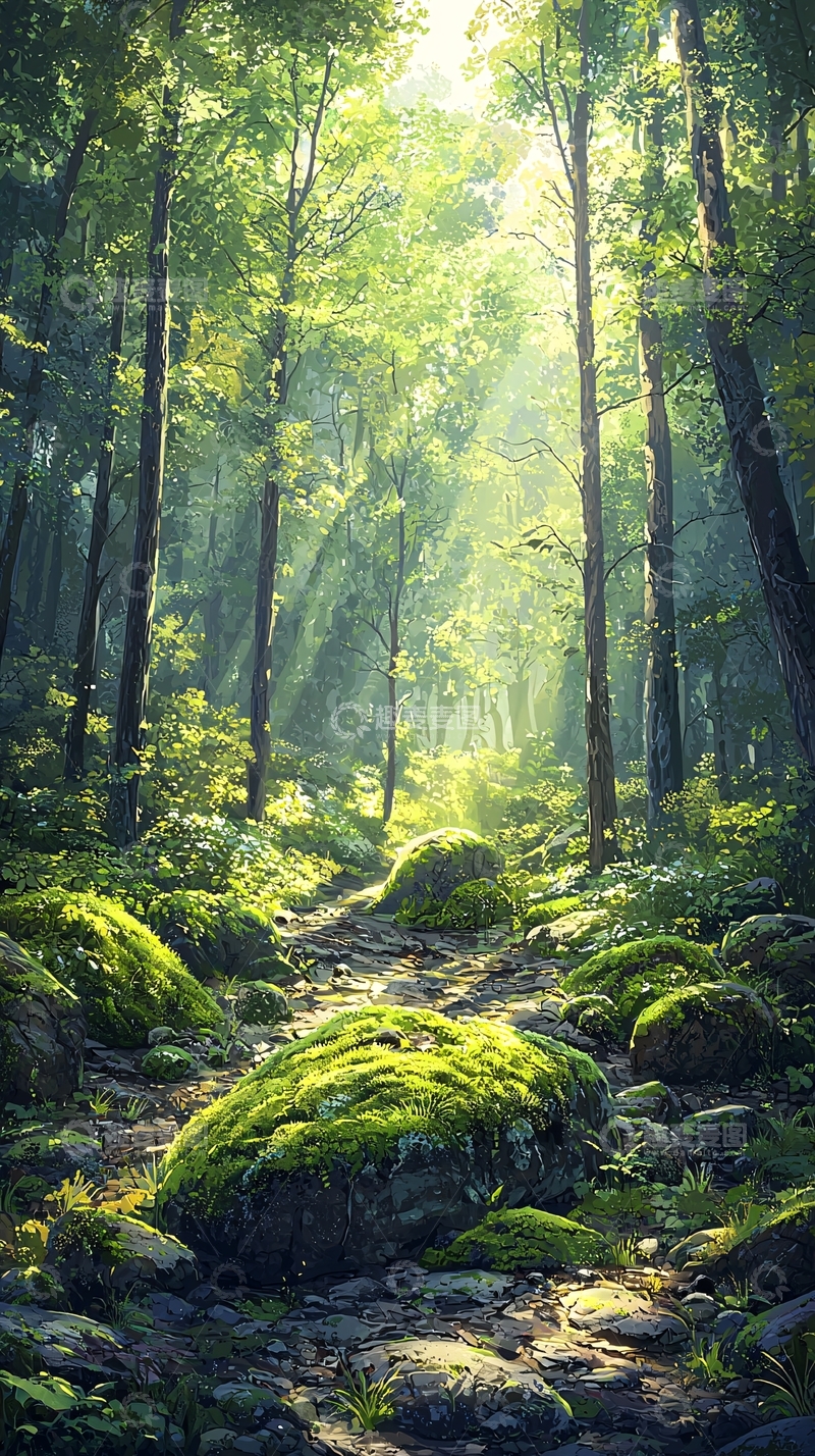 高清大图下载【趣麦麦图】阳光穿透森林的清新画面