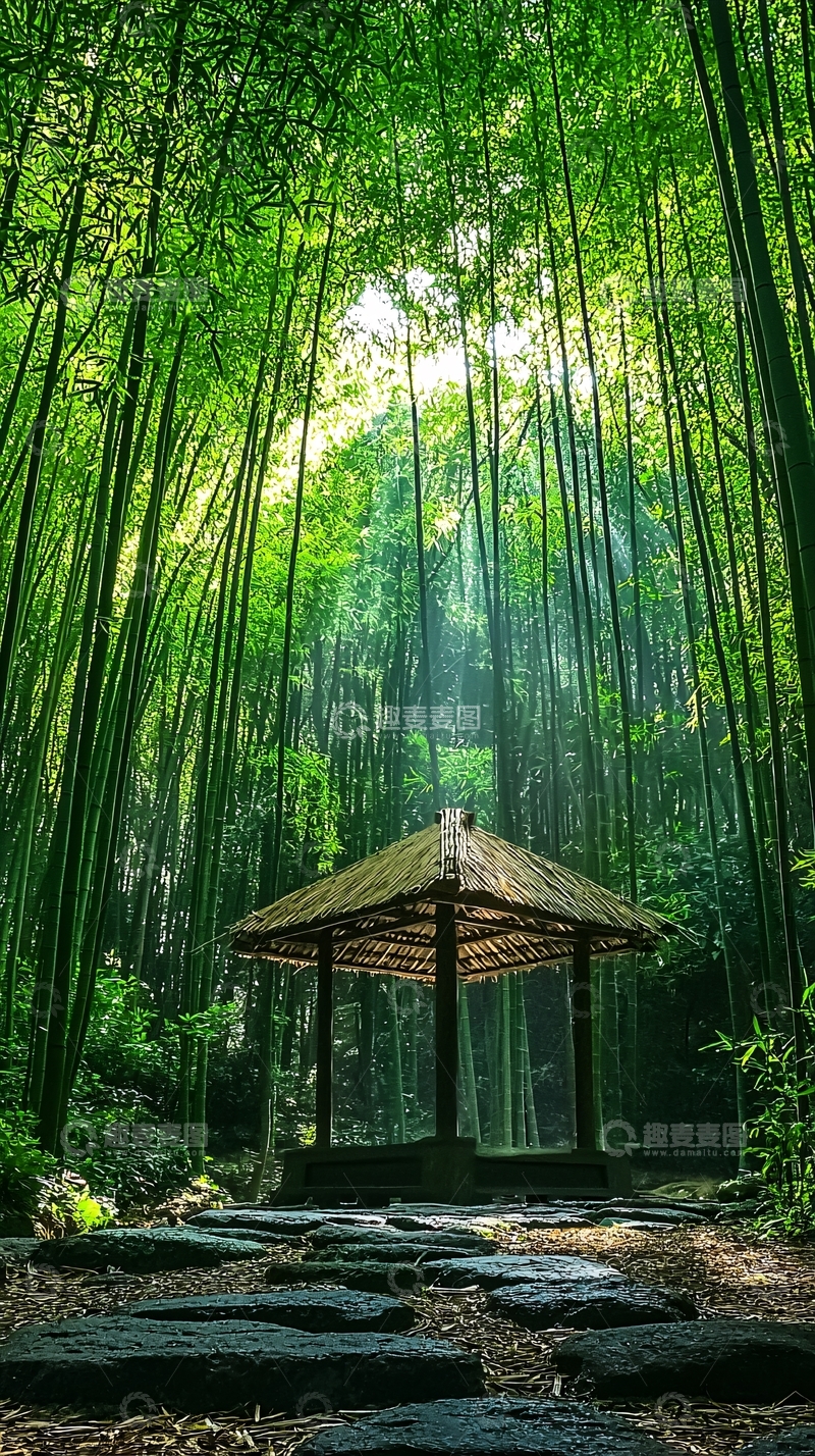 高清大图下载【趣麦麦图】竹林中的茅草屋