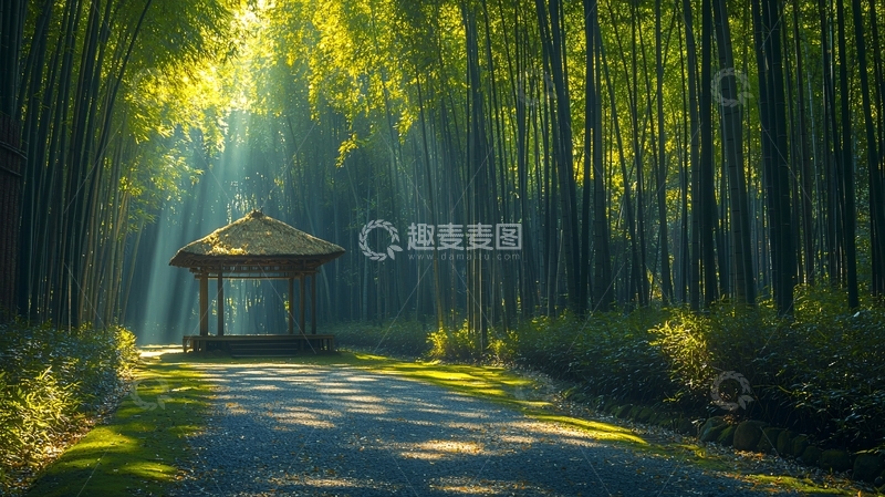 高清大图下载【趣麦麦图】阳光透过竹林