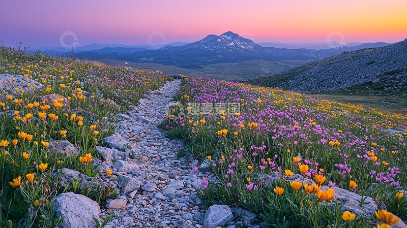 高清大图下载【趣麦麦图】山间小路野花盛开