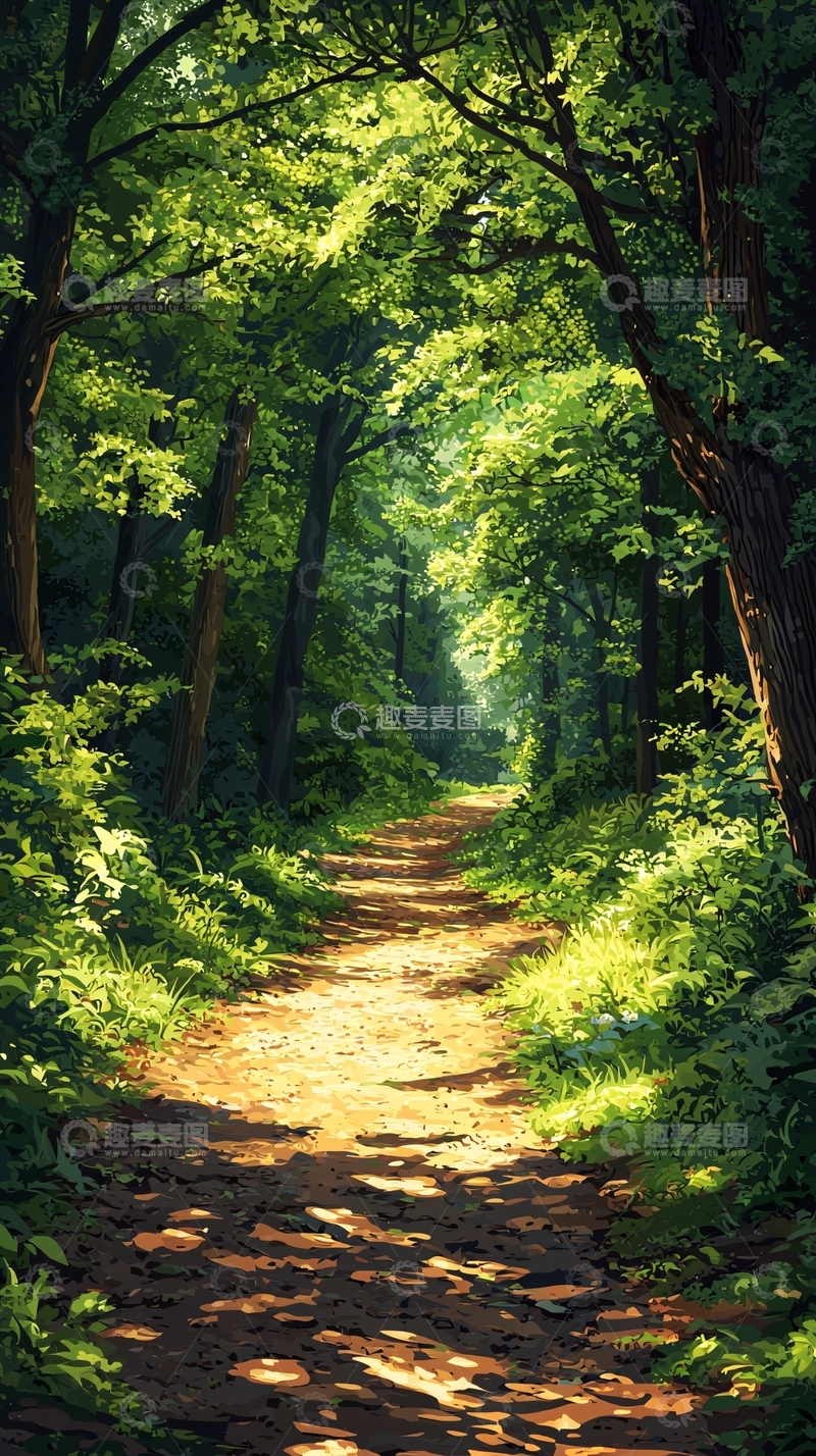 高清大图下载【趣麦麦图】林间小路阳光洒落