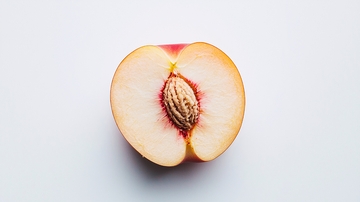 白底桃子剖面图