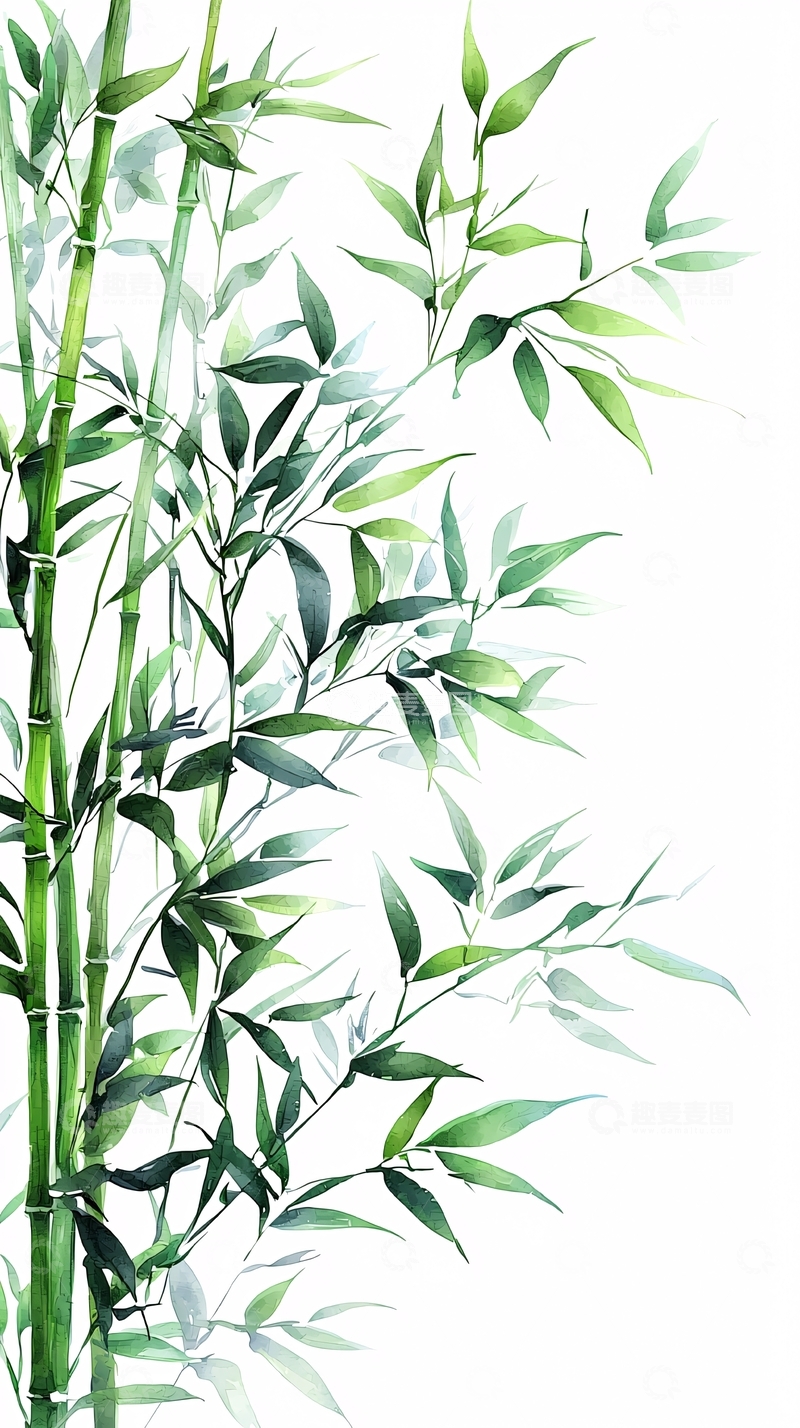 高清大图下载【趣麦麦图】水墨风竹子写意画