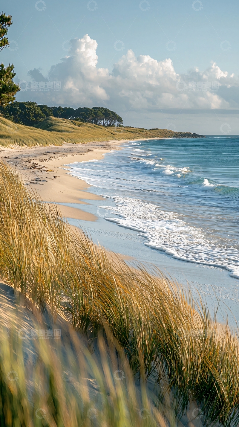高清大图下载【趣麦麦图】海边草地宁静风景