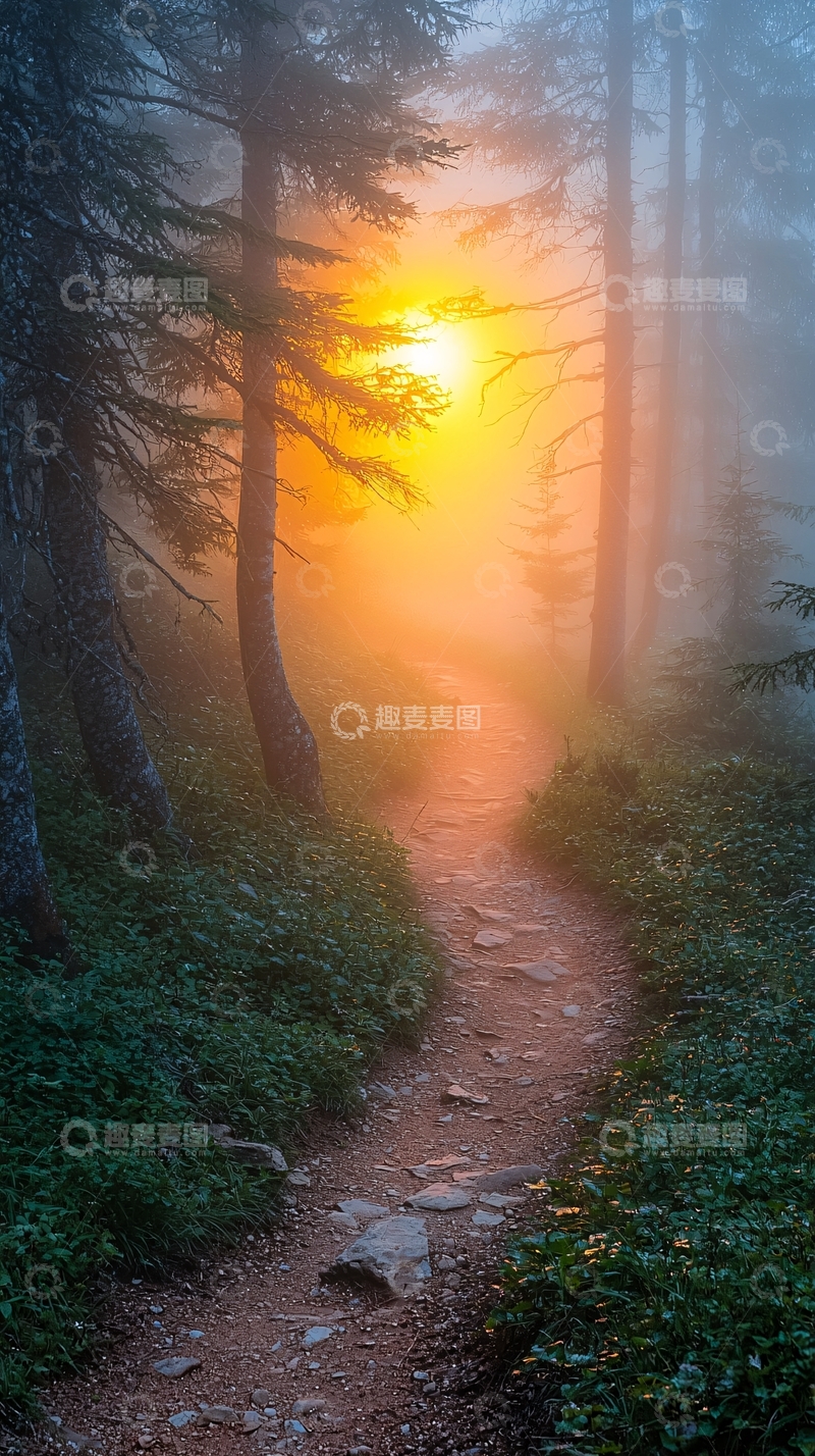 高清大图下载【趣麦麦图】雾中森林小路日出