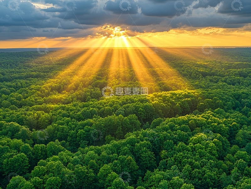 高清大图下载【趣麦麦图】阳光穿过森林