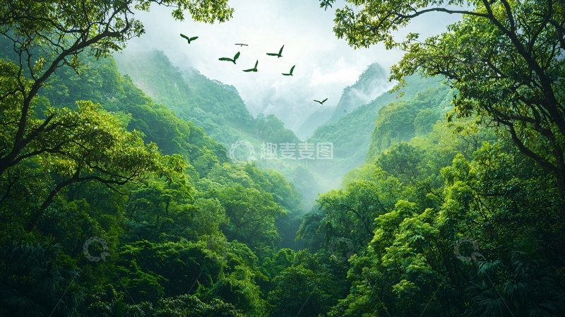 高清大图下载【趣麦麦图】郁郁葱葱的山谷