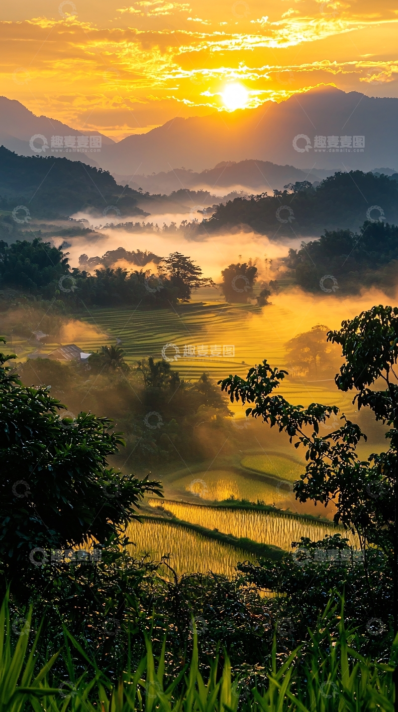 高清大图下载【趣麦麦图】金色阳光下的稻田山峦