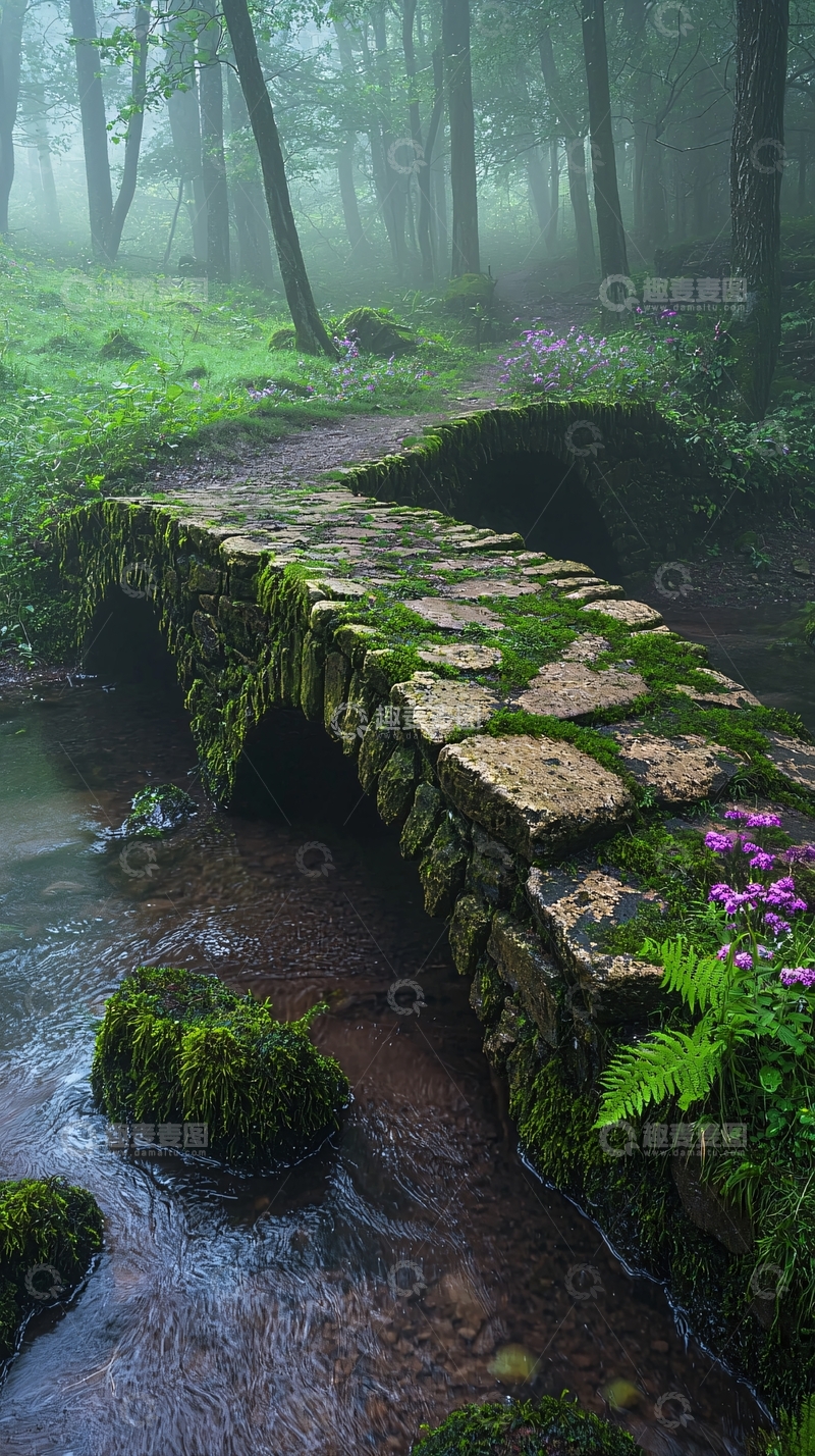 高清大图下载【趣麦麦图】森林中的石桥