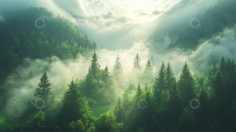 高清大图下载【趣麦麦图】雾气缭绕的绿色山林