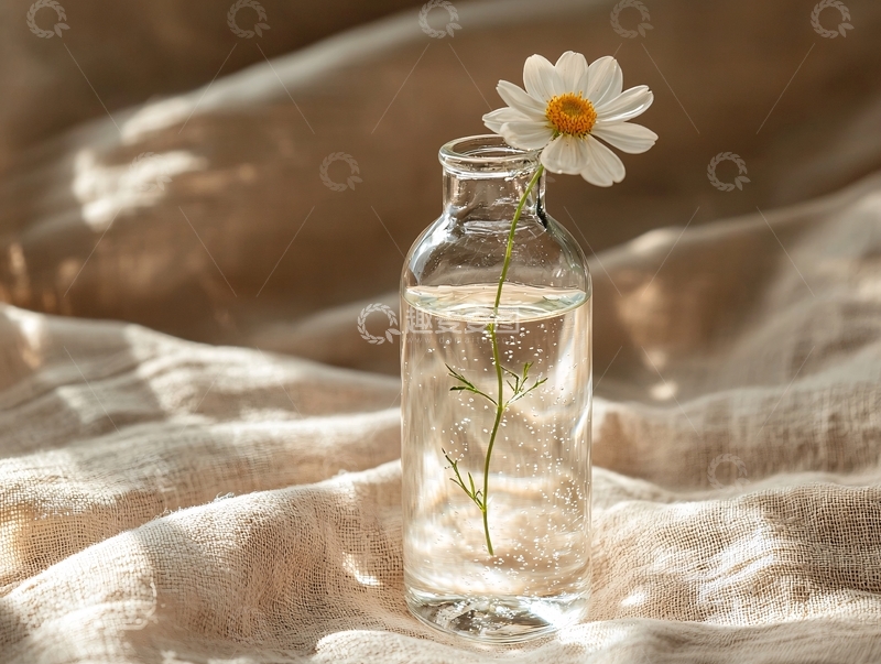 高清大图下载【趣麦麦图】小瓶中一朵雏菊
