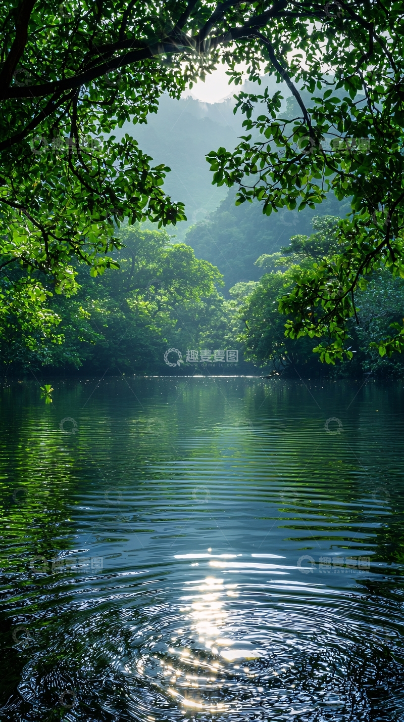 高清大图下载【趣麦麦图】树荫下宁静的湖泊