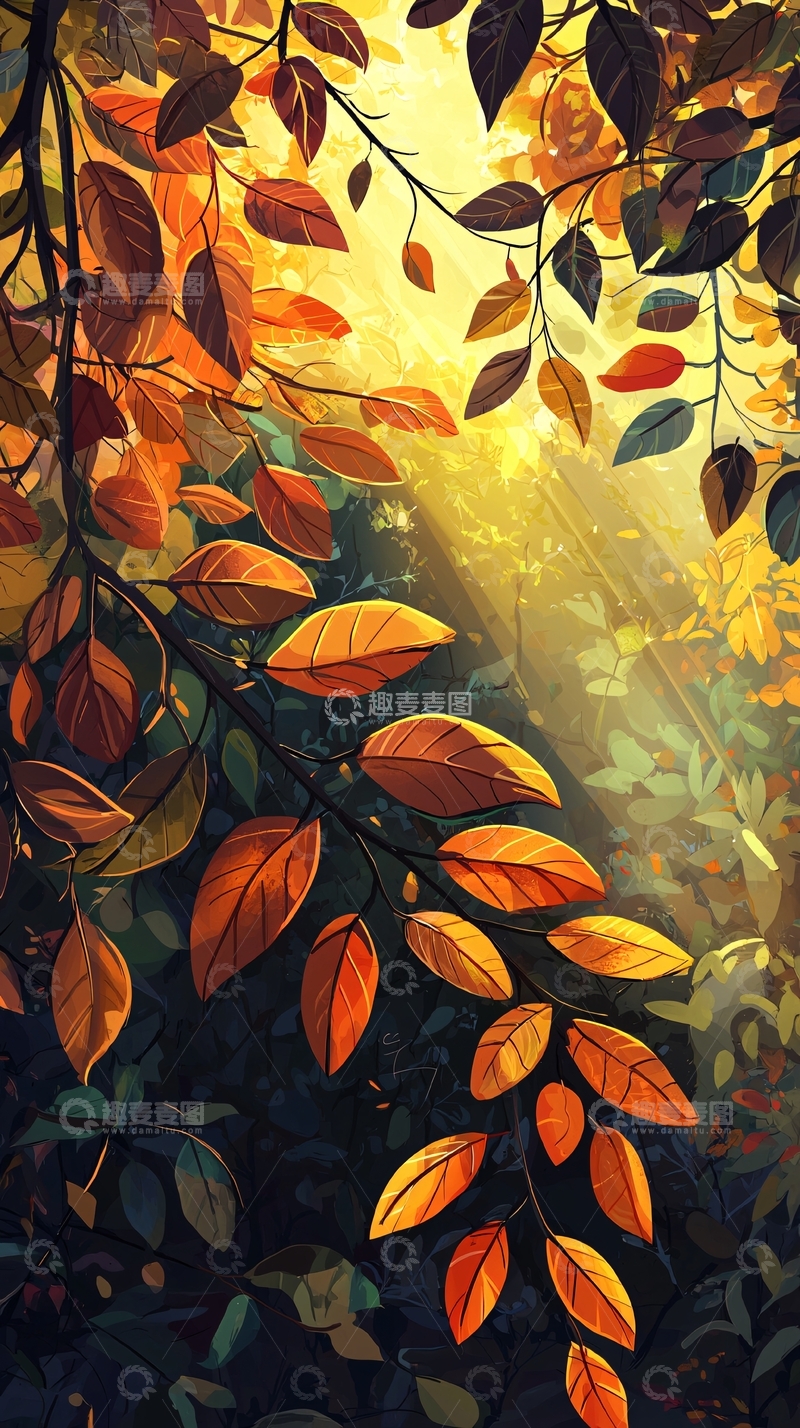 高清大图下载【趣麦麦图】阳光透过树叶