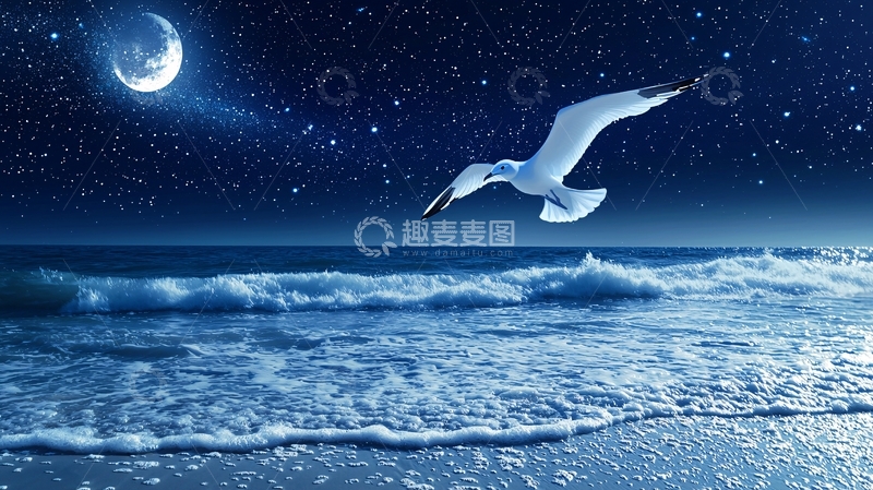 高清大图下载【趣麦麦图】夜空下飞翔的海鸥