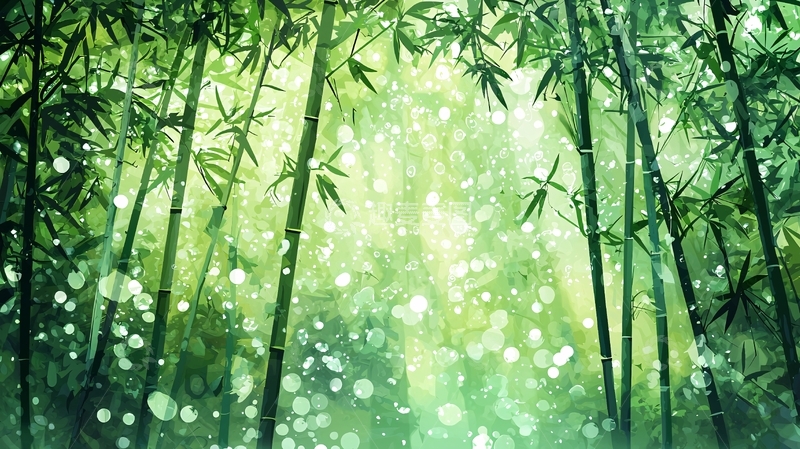 高清大图下载【趣麦麦图】阳光透过竹林