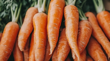 新鲜饱满的胡萝卜堆