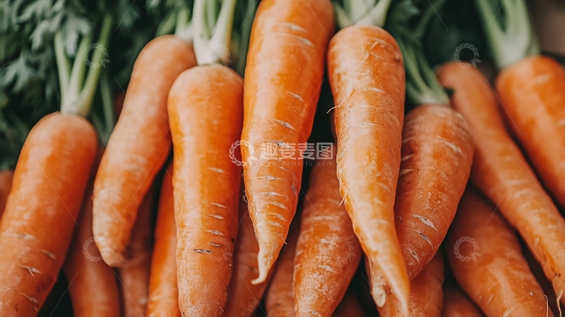 高清大图下载【趣麦麦图】新鲜饱满的胡萝卜堆