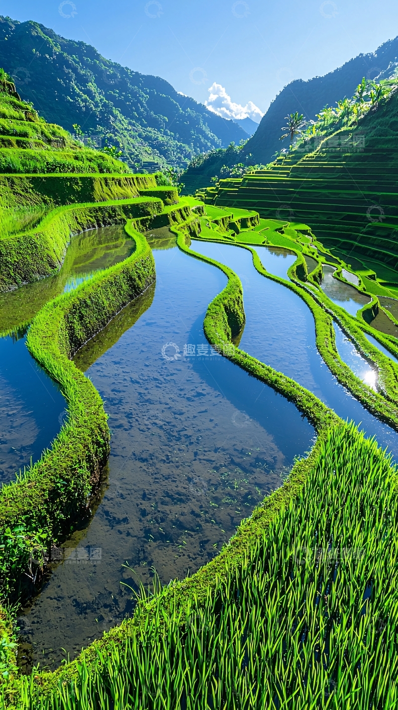 高清大图下载【趣麦麦图】绿色梯田山水倒影
