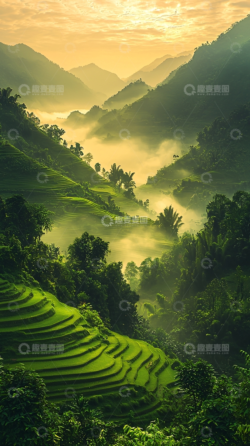 高清大图下载【趣麦麦图】层层叠叠的梯田