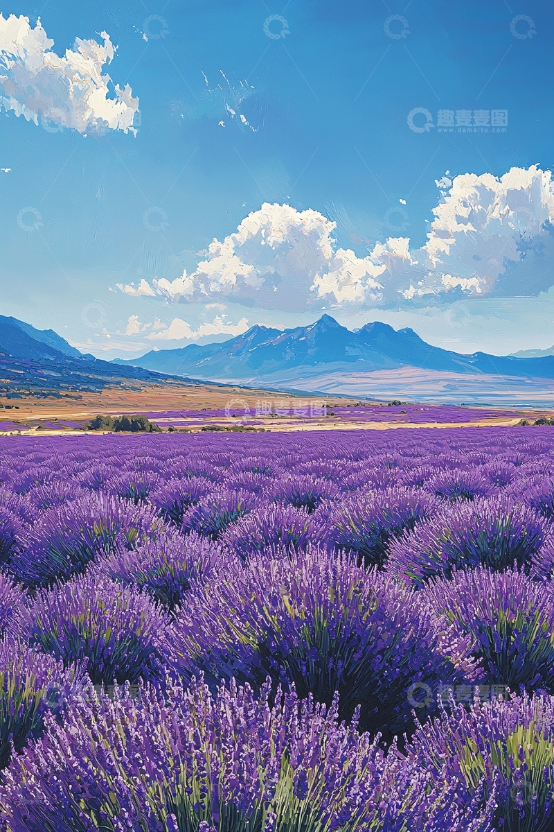高清大图下载【趣麦麦图】薰衣草田