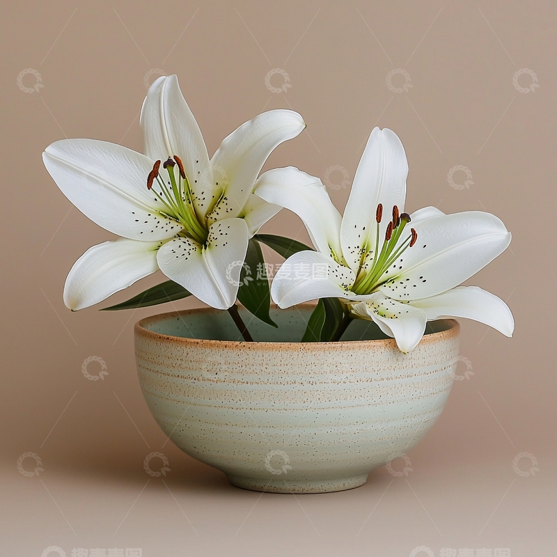 高清大图下载【趣麦麦图】简约白百合花器