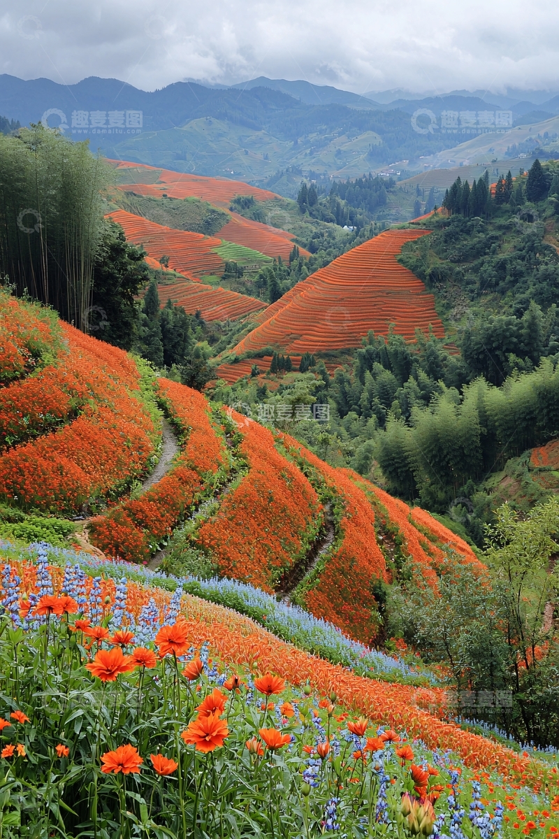 高清大图下载【趣麦麦图】山峦叠翠花海