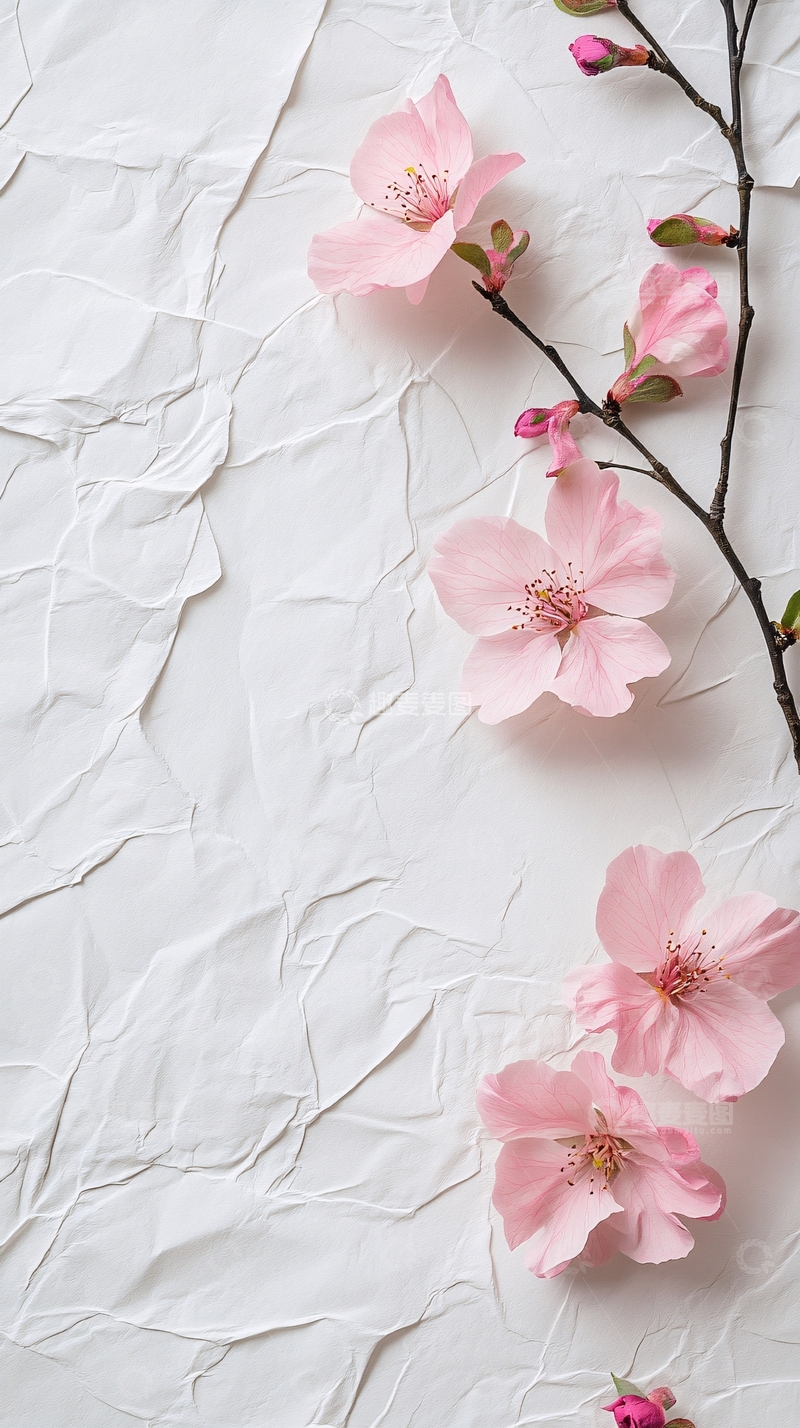 高清大图下载【趣麦麦图】粉色樱花