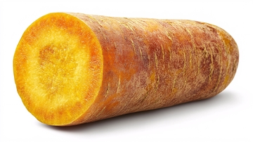 新鲜金黄胡萝卜切面特写