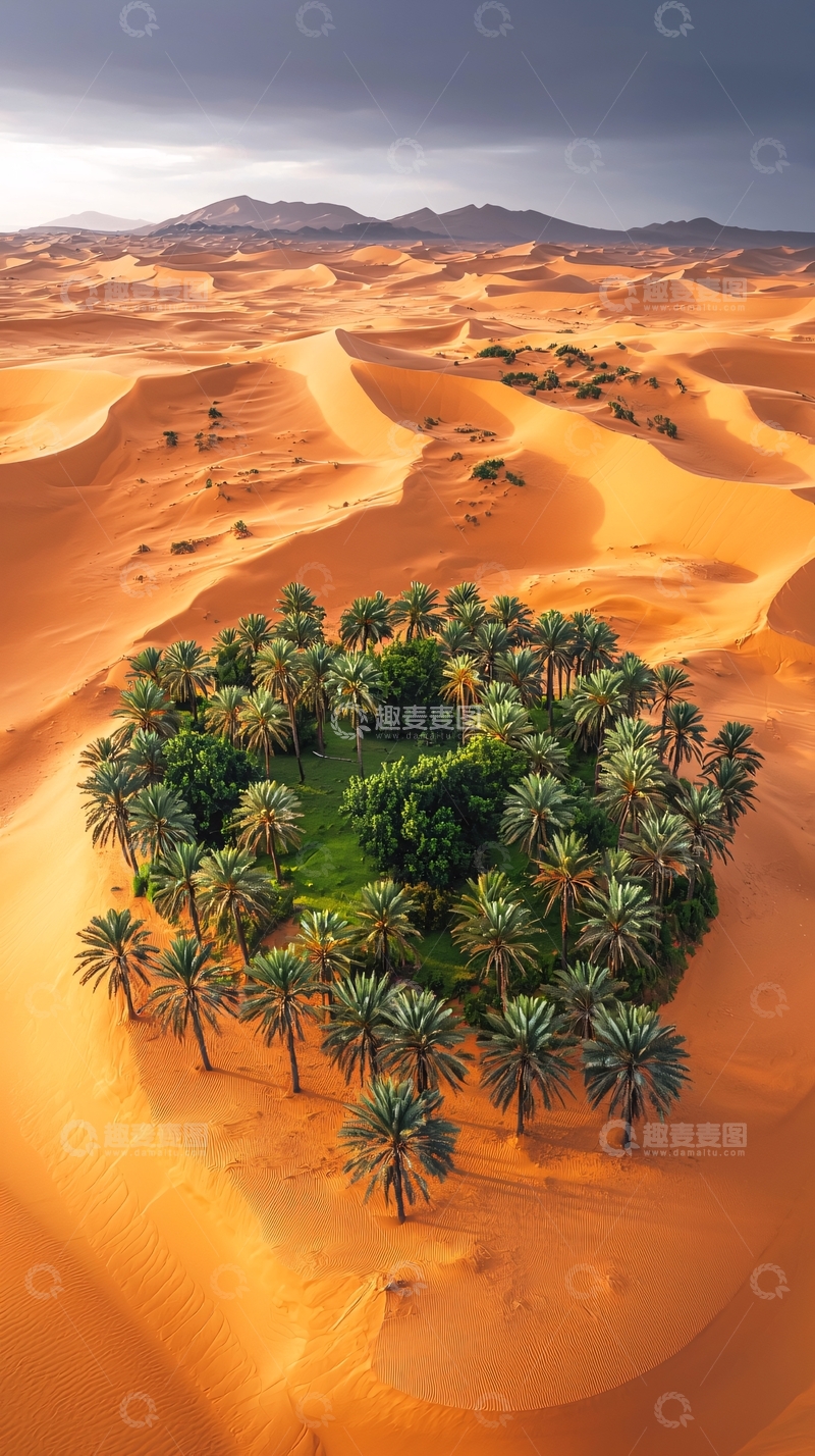高清大图下载【趣麦麦图】沙漠中的绿洲