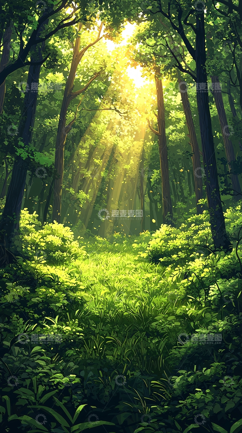 高清大图下载【趣麦麦图】阳光穿过树林