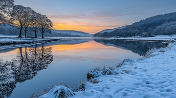冬日湖面树木倒影
