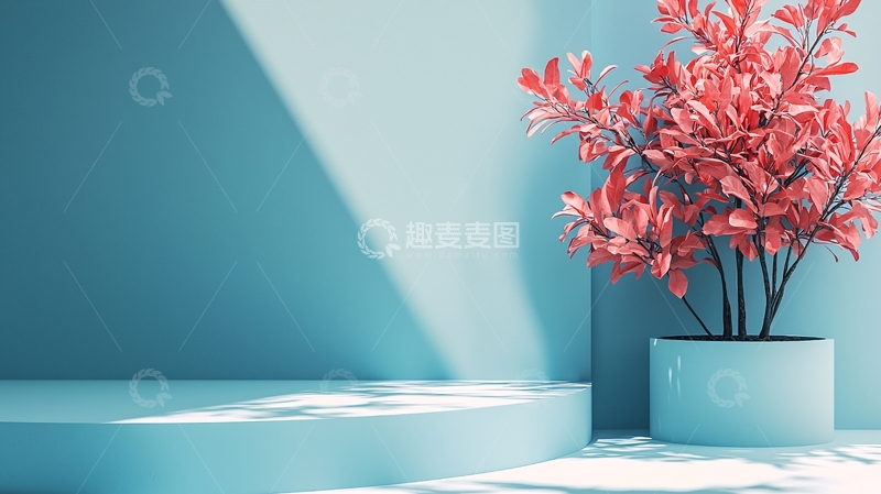 高清大图下载【趣麦麦图】极简蓝色背景植物展示台
