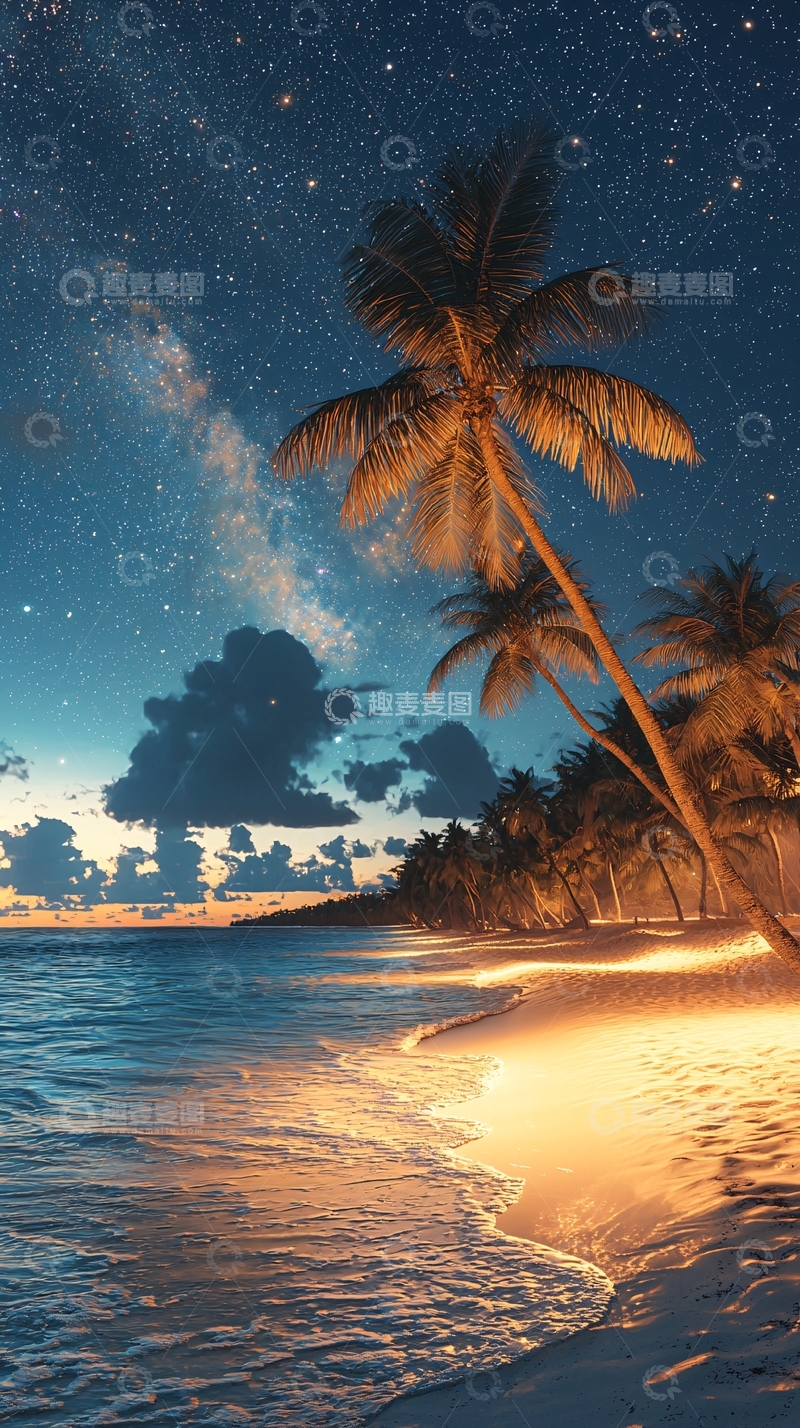 高清大图下载【趣麦麦图】星空下的椰树海滩
